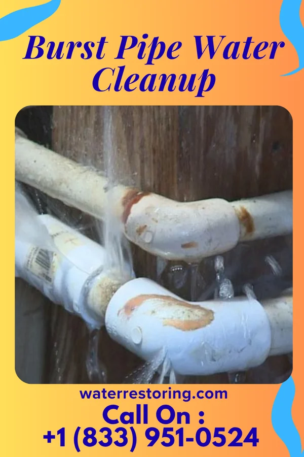 Burst Pipe Water Cleanup in Brown Station, MD
