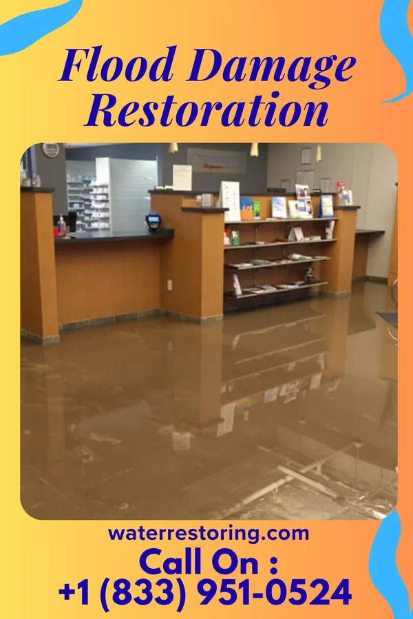 Flood Damage Restoration in Brown Station, MD