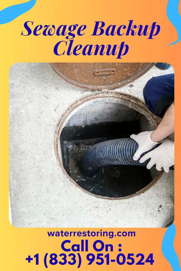 Sewage Backup Cleanup in Brown Station, MD