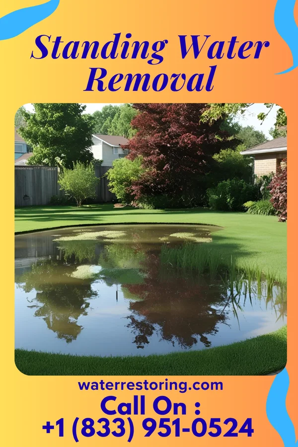 Standing Water Removal in Brown Station, MD